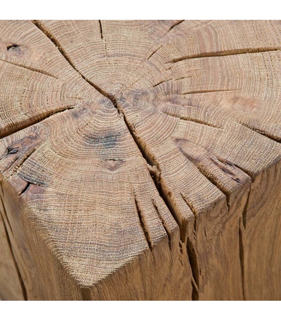 Wood Stump