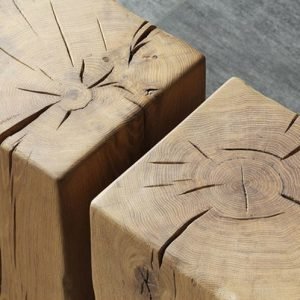 Wood Stump
